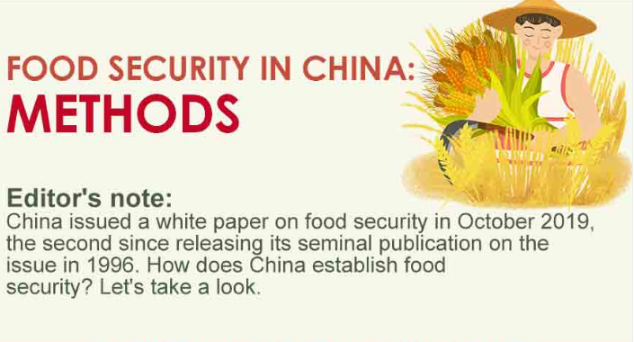 Food Security in China